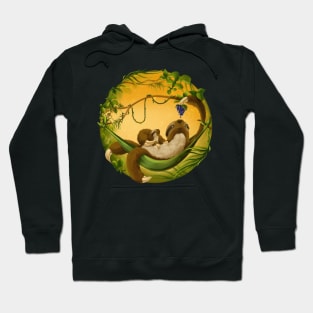 Sloth Mama & Baby Hoodie